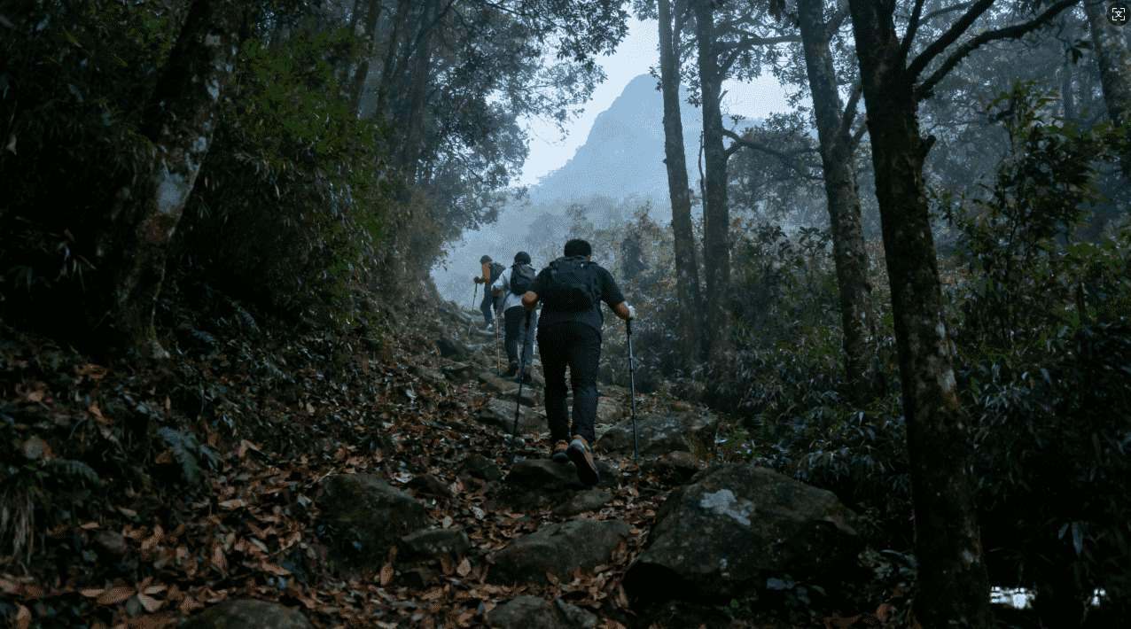 西柚加速器如何科学高效进行账户注销