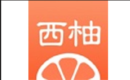 西柚加速器 Logo